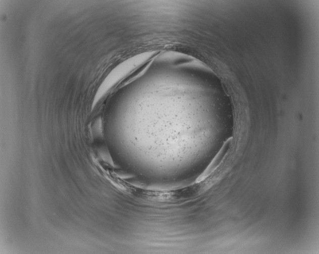 X0000051860288200507081830