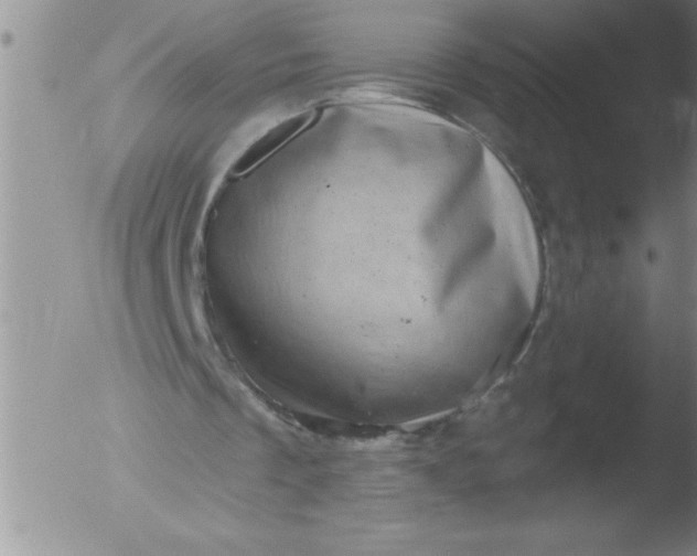 X0000051860289200507081830