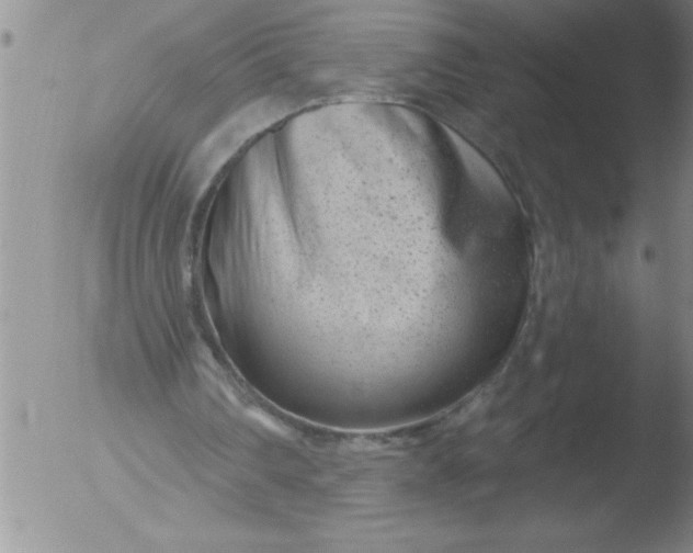 X0000051860290200507081830