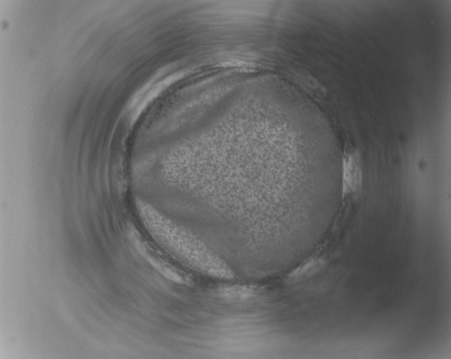 X0000051860291200507081829