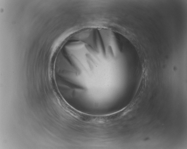 X0000051860294200507081829