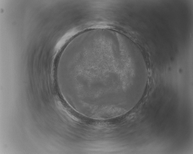 X0000051860296200507081829