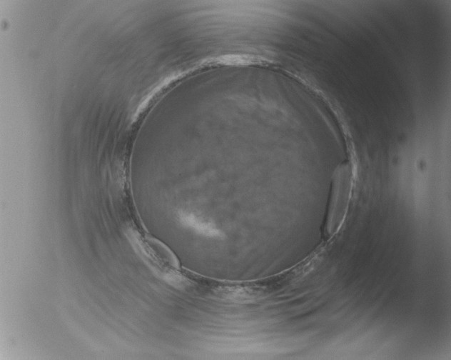 X0000051860297200507081829