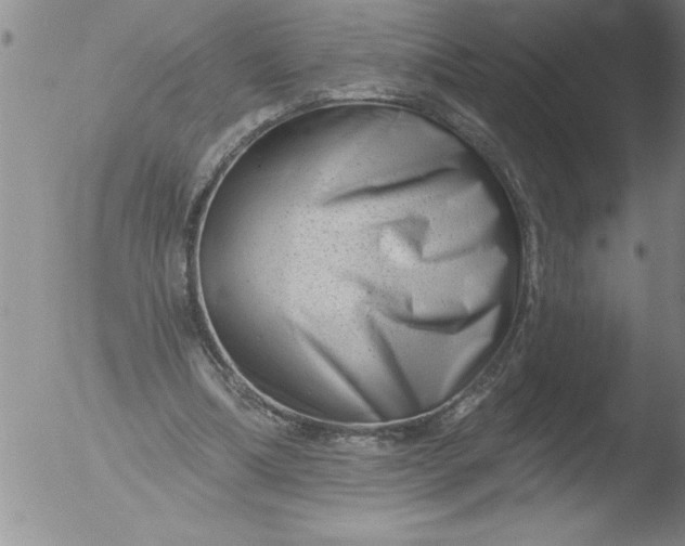 X0000051860298200507081829