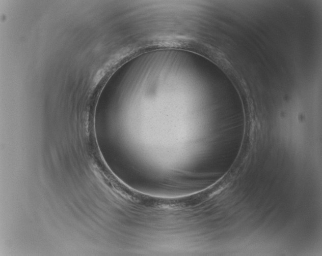 X0000051860299200507081829