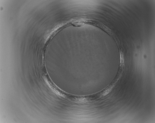 X0000051860301200507081829