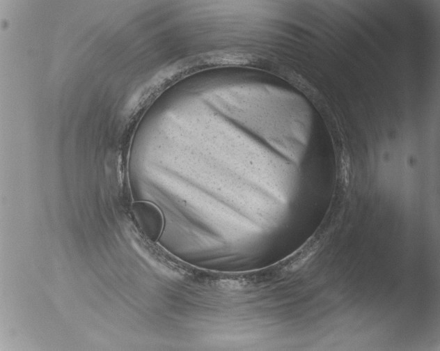 X0000051860302200507081829