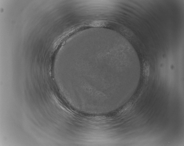 X0000051860303200507081829