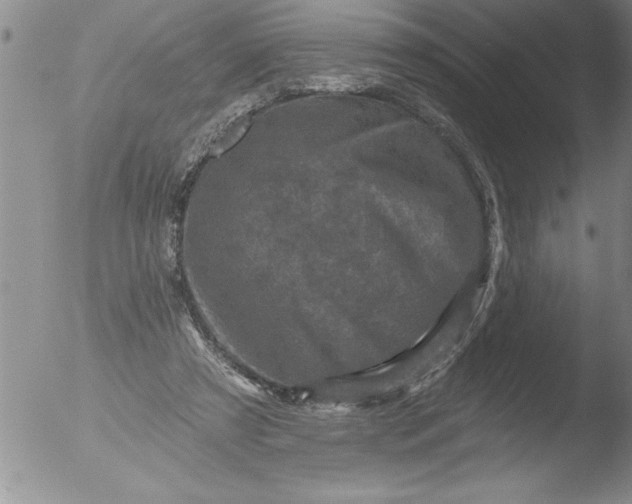 X0000051860305200507081829