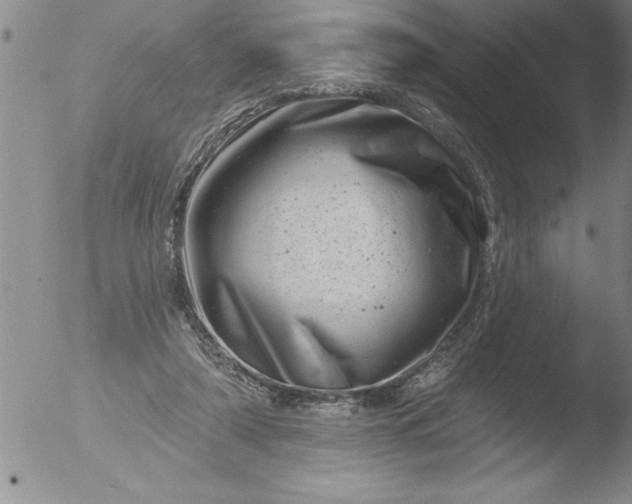 X0000051860306200507081829