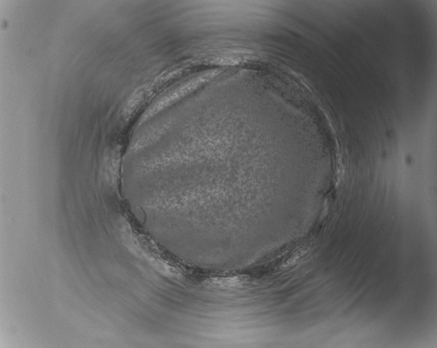 X0000051860307200507081829