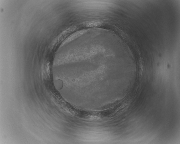 X0000051860308200507081829