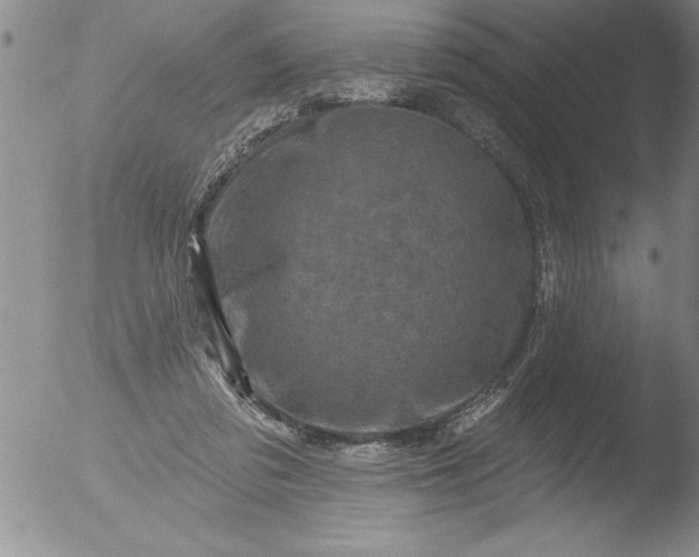 X0000051860309200507081829