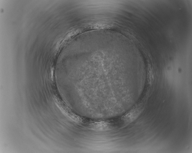 X0000051860310200507081829