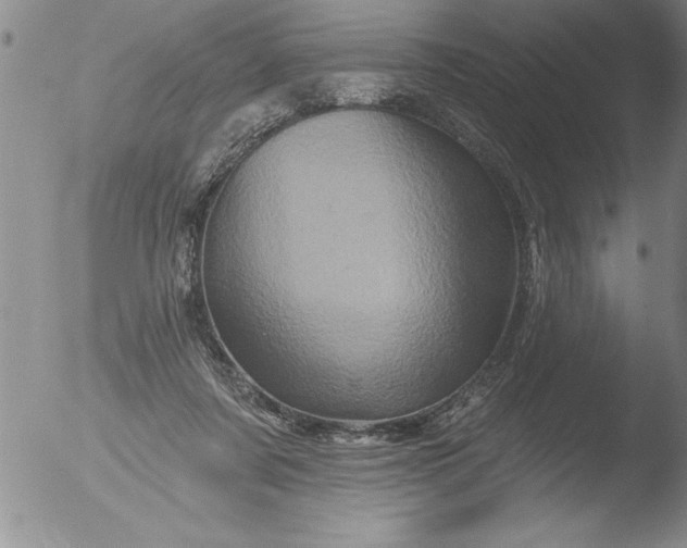 X0000051860311200507081829