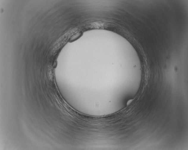 X0000051860313200507081829