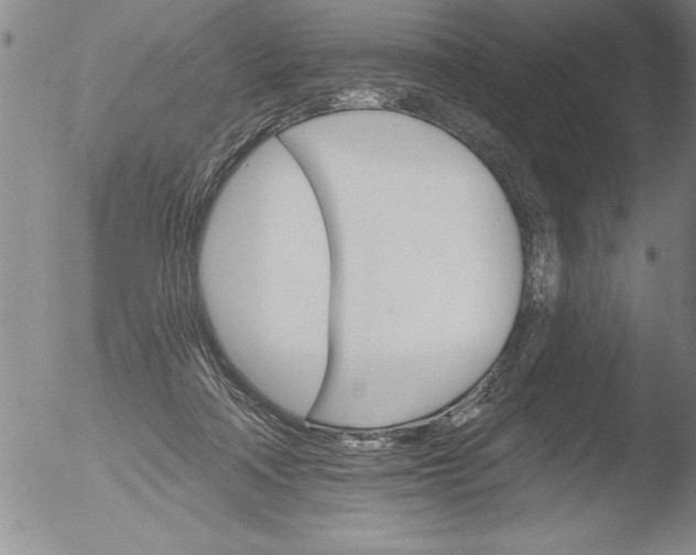 X0000051860314200507081829