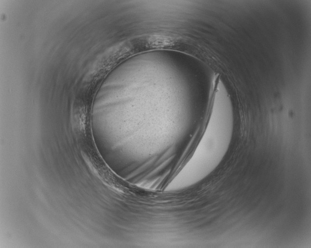 X0000051860315200507081829