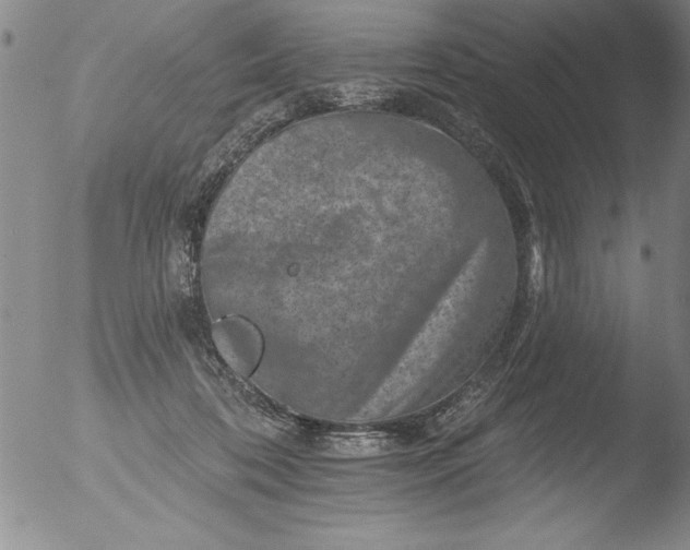 X0000051860316200507081829