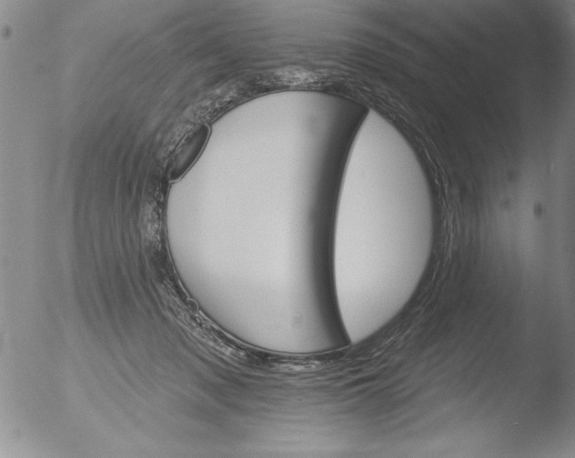 X0000051860317200507081829