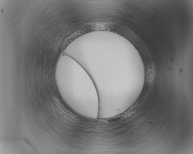 X0000051860318200507081829