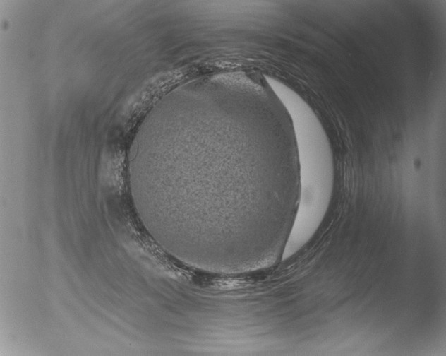 X0000051860319200507081829