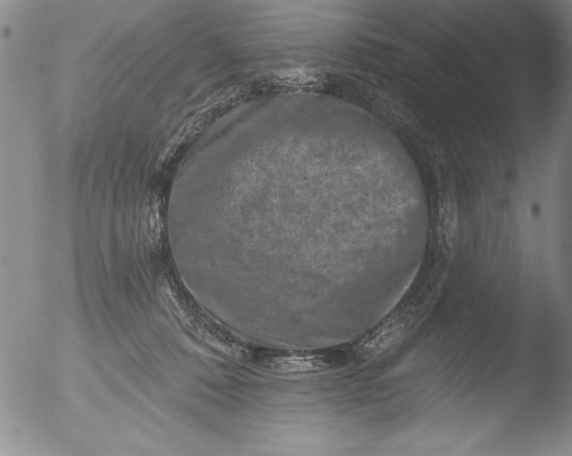 X0000051860320200507081829