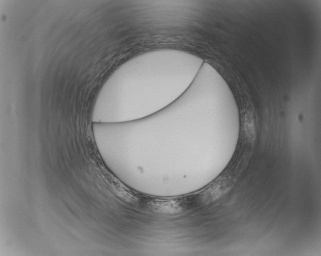 X0000051860322200507081829