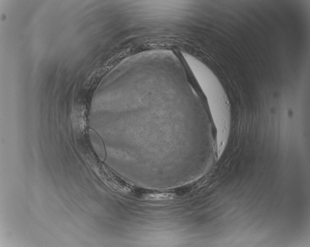 X0000051860323200507081829