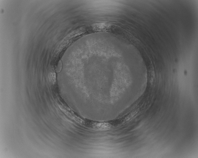 X0000051860324200507081829