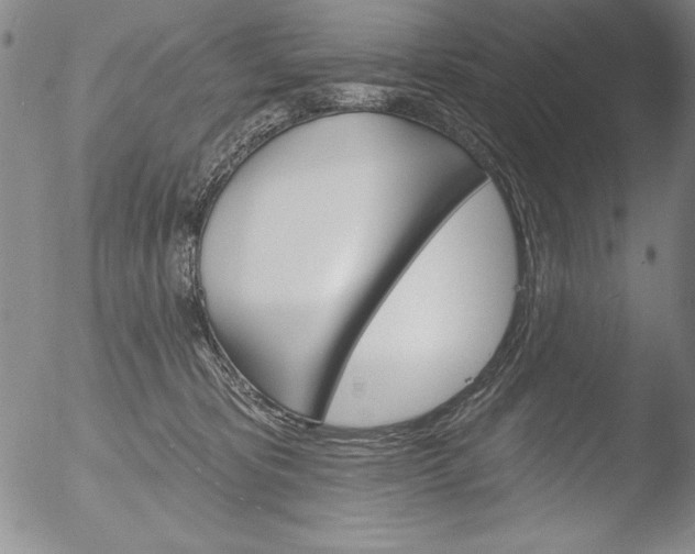 X0000051860325200507081829