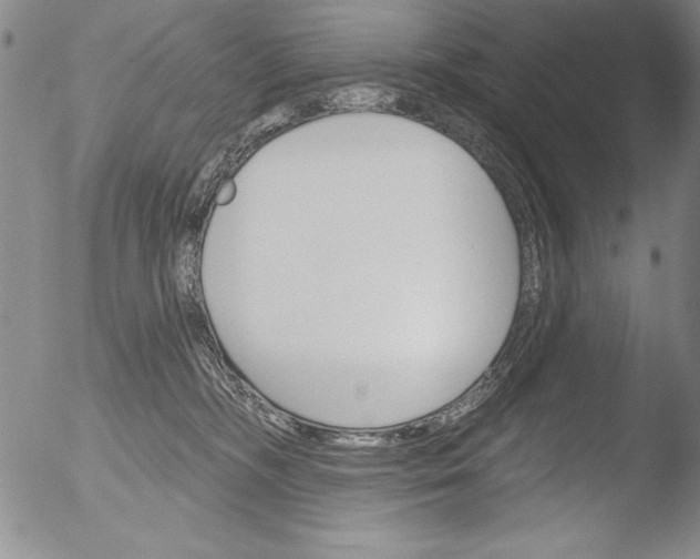 X0000051860326200507081829