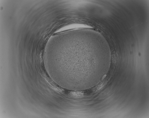 X0000051860327200507081829