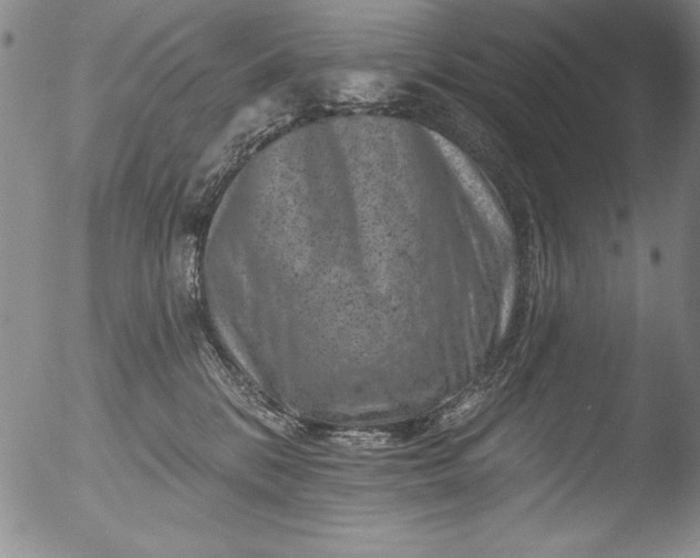 X0000051860328200507081829