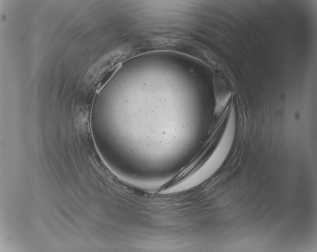 X0000051860329200507081829