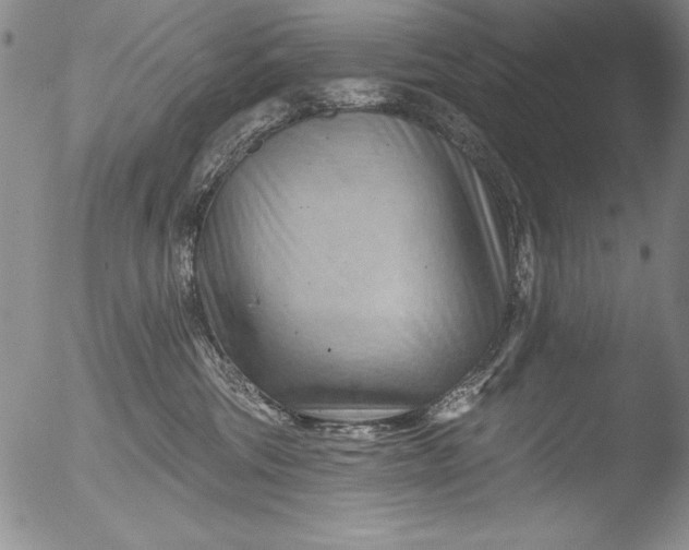 X0000051860330200507081829