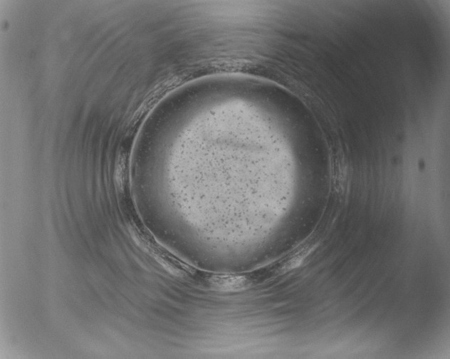 X0000051860334200507081829