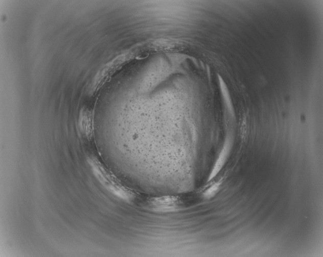 X0000051860335200507081829