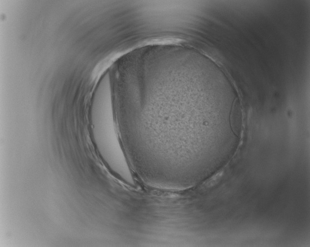 X0000051860337200507081828