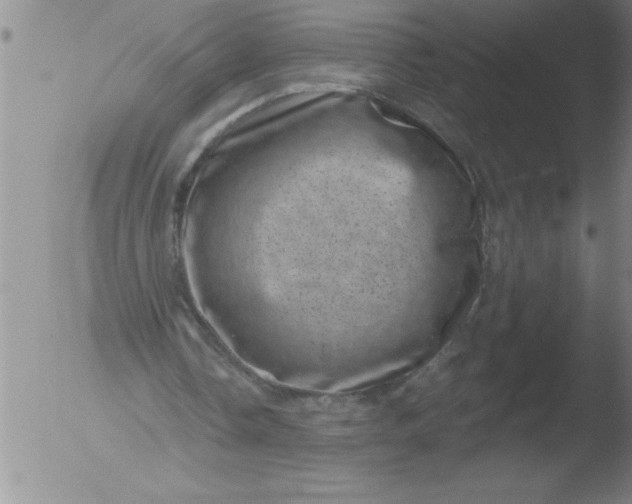 X0000051860338200507081828