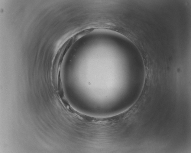 X0000051860340200507081828