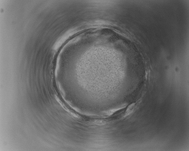 X0000051860341200507081828