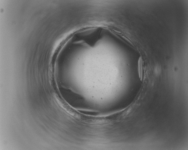 X0000051860342200507081828