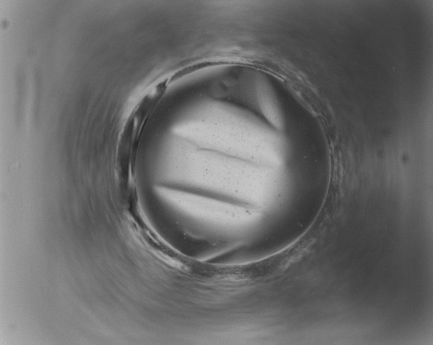 X0000051860344200507081828