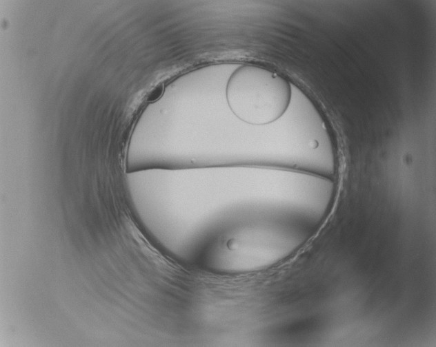 X0000051860345200507081828