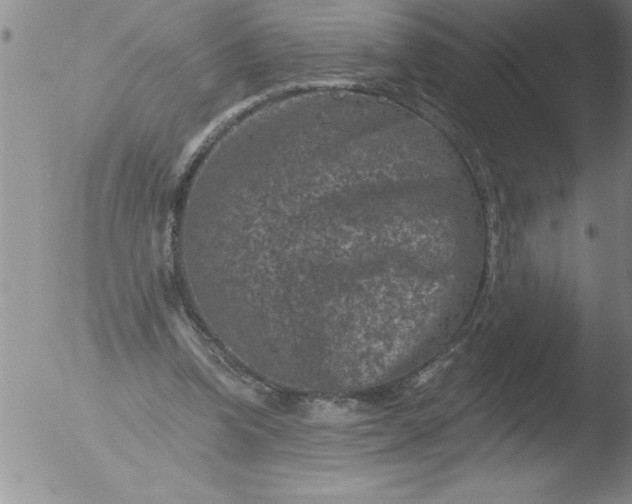 X0000051860346200507081828