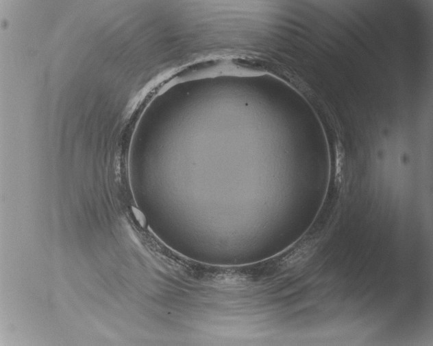 X0000051860348200507081828