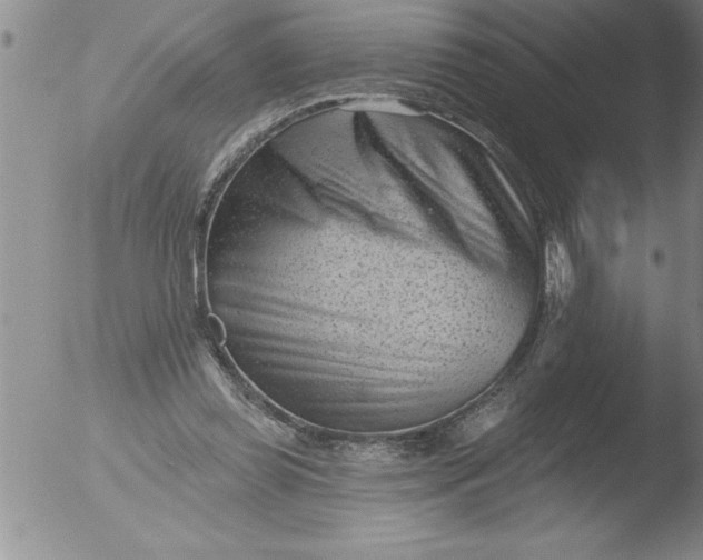 X0000051860349200507081828