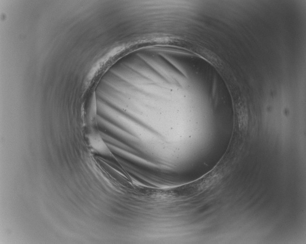 X0000051860350200507081828