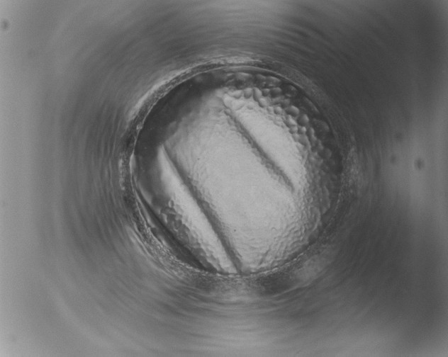 X0000051860351200507081828